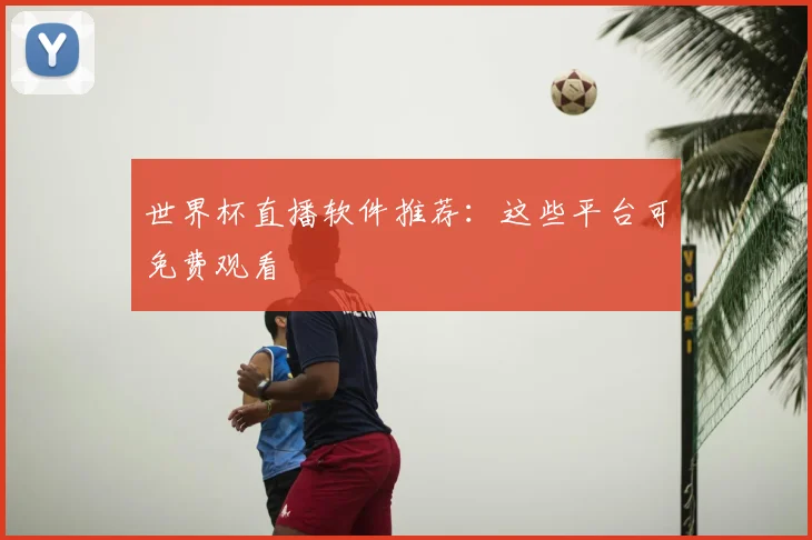 世界杯直播软件推荐:这些平台可免费观看