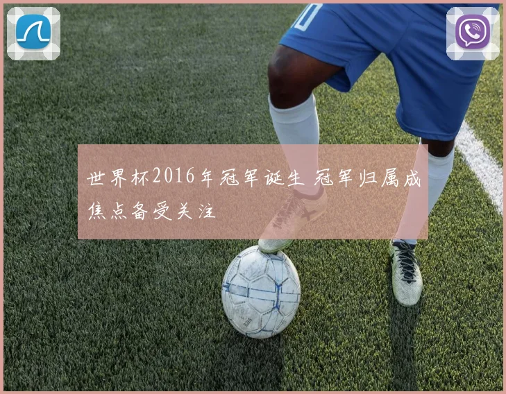 世界杯2016年冠军诞生 冠军归属成焦点备受关注