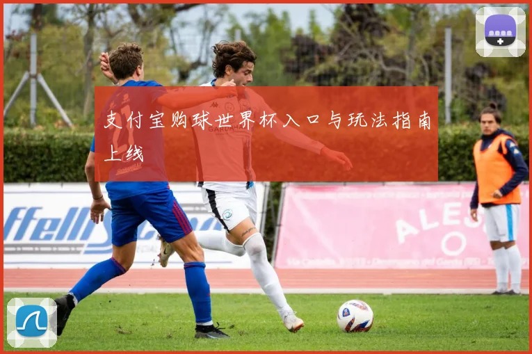 支付宝购球世界杯入口与玩法指南上线