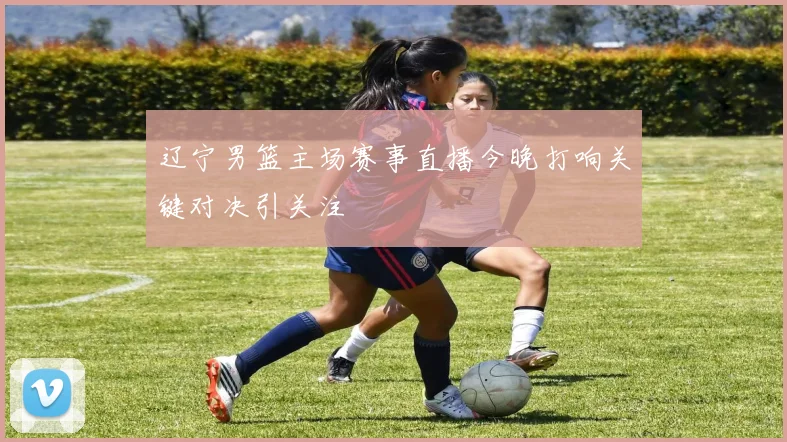 辽宁男篮主场赛事直播今晚打响关键对决引关注