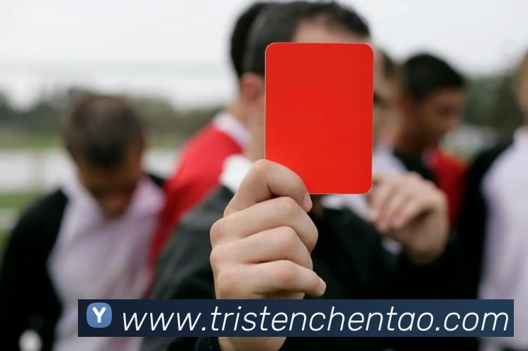 世界杯官网登录app平台生态图