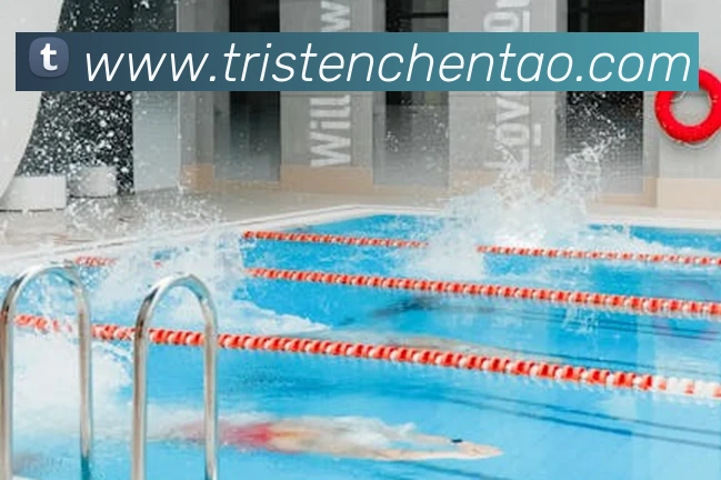 世界杯官网登录appAPP 封面图